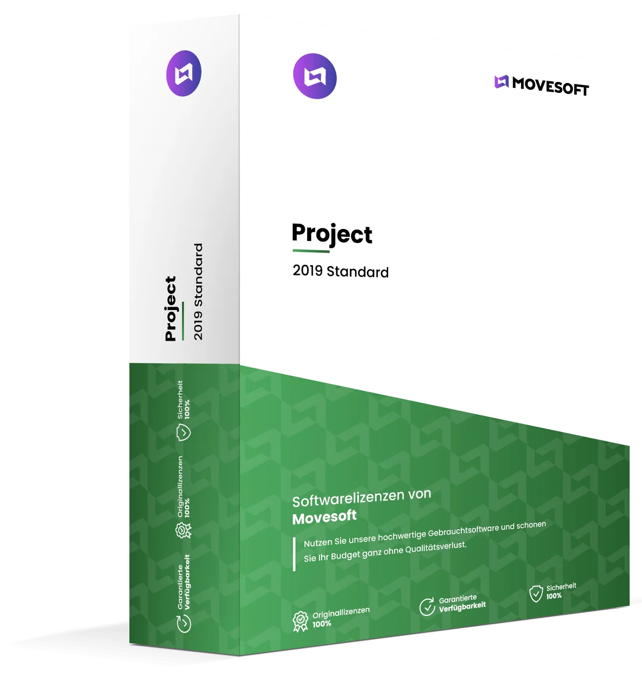 Project 2019 Standard