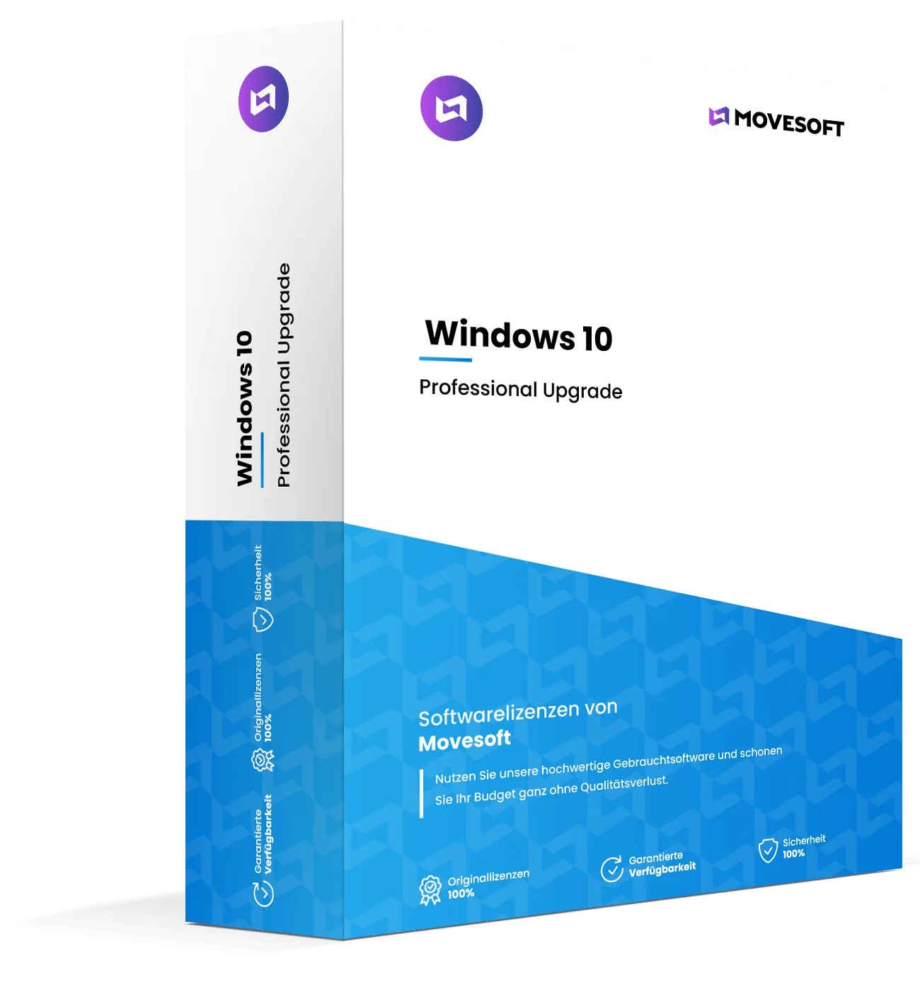 Icon fürWindows 10 Professional Upgrade