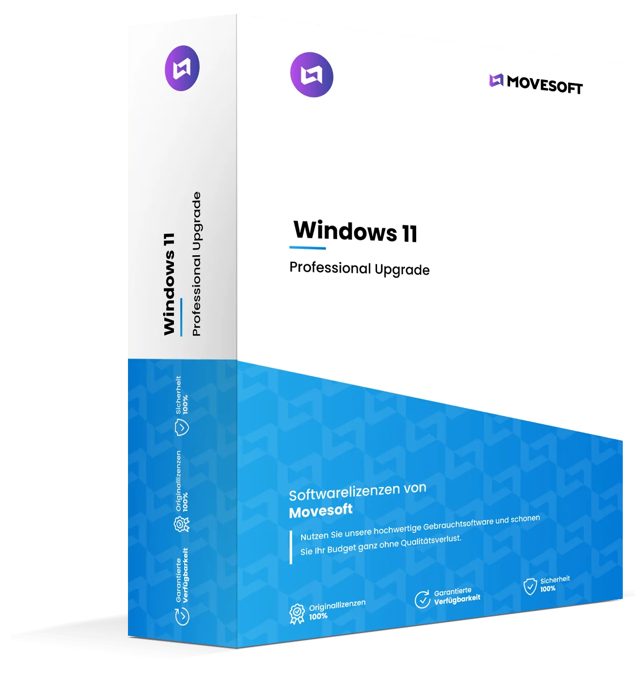 Icon fürWindows 11 Professional Upgrade